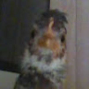 Meet your Posher, Aracely